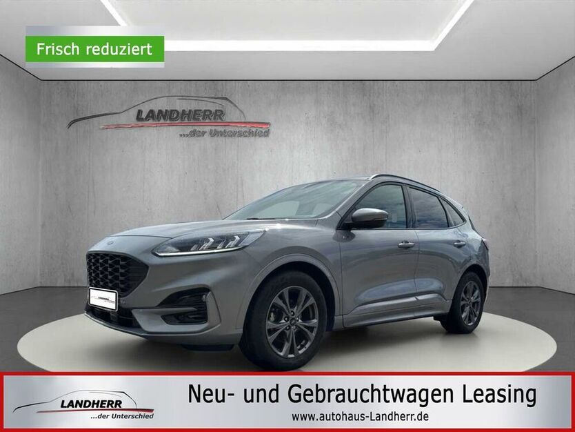 Kuga