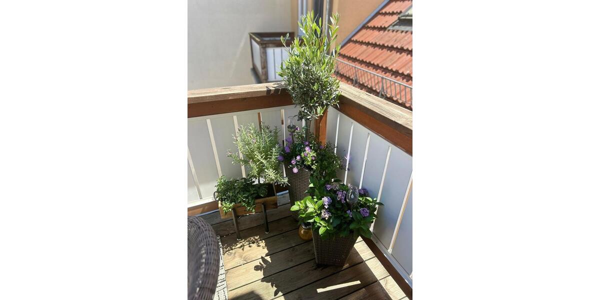 Etagenwohnung Sömmerda - 1 Zimmer, 55 m&sup2;, 620&euro; | Angebot:26534705