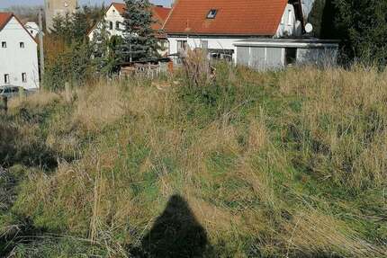 Grundstück zu verkaufen in Döbeln 39.000 € 787 m²