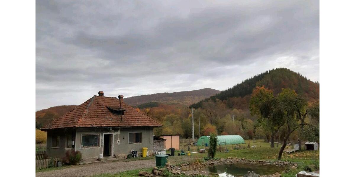 Einfamilienhaus Ganderkesee - 1 Zimmer, 45 m&sup2;, 55.000&euro; | Angebot:26883517
