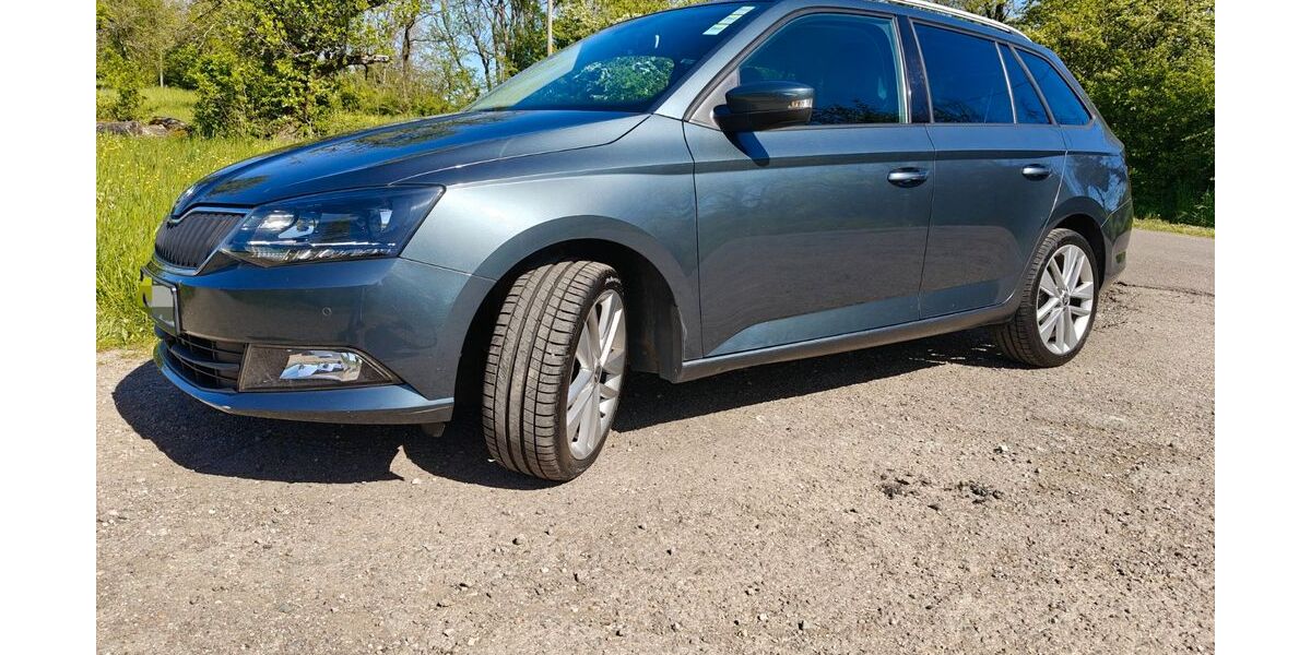 Skoda Fabia 105.000 km 8.290 &euro; Mandelbachtal 66399