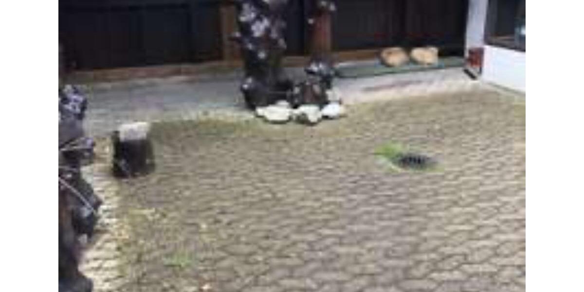 EFH mit 6 Zimmer im Siebertal 7 zimmer