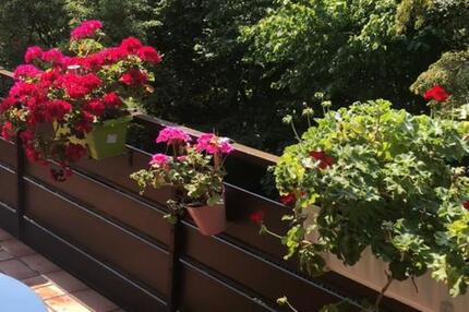3 ZKB-ETW mit Westbalkon und TG in begehrter Lage in Kassel