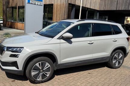 Skoda Karoq 25.000 km 25.390 &euro; Weinbach 35796