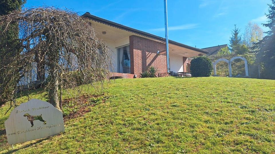 Bungalow Bausendorf - 5 Zimmer, 143 m&sup2;, 1.300&euro; | Angebot:26368367