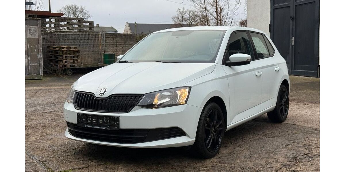 Skoda Fabia 197.000 km 5.690 &euro; Rostock 18119