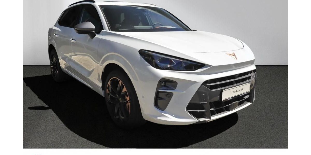 Cupra Terramar 6.000 km 49.990 &euro; Bad Schwartau 23611