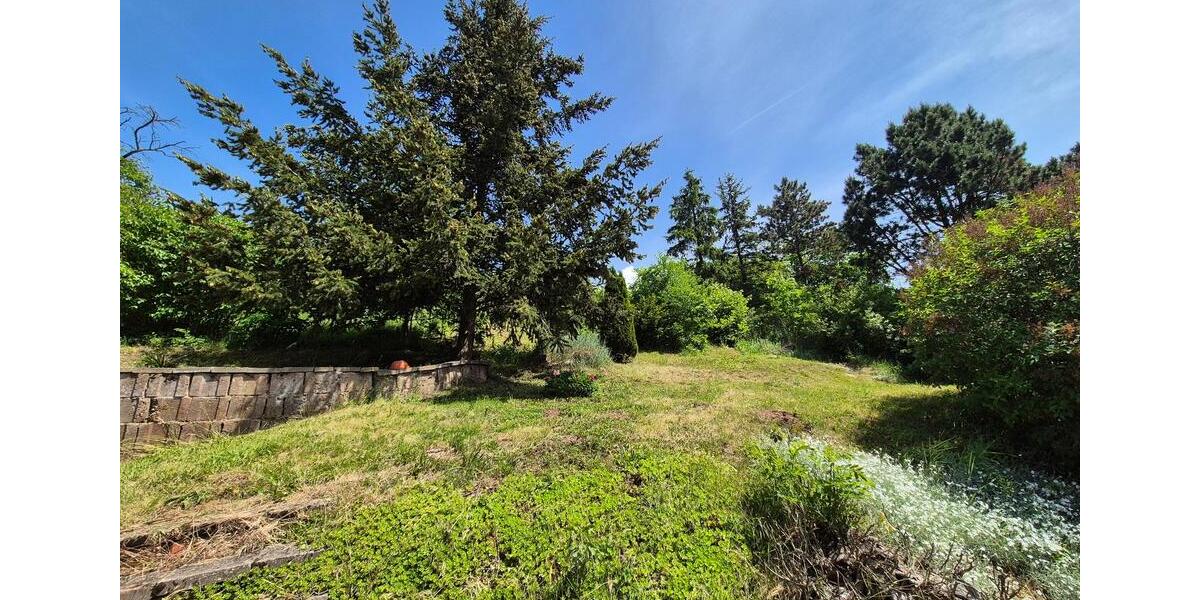 Einfamilienhaus Südharz - 4 Zimmer, 100 m&sup2;, 79.000&euro; | Angebot:27002495