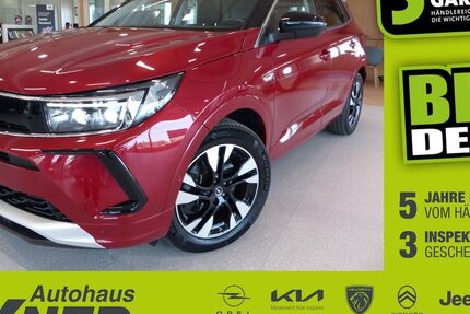 Opel Grandland (X) 36.740 km 21.900 &euro; Hof 95032