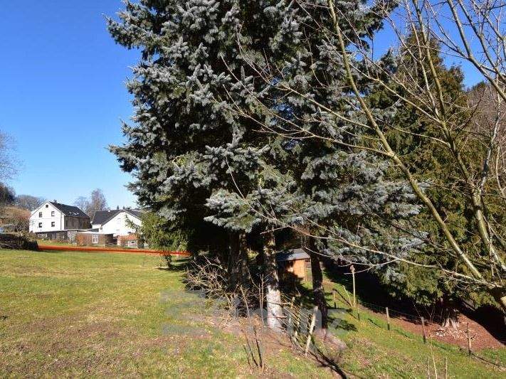 Grundstück Krumhermersdorf Krumhermersdorf - 49.500&euro; | Angebot:25391418