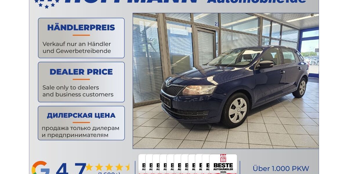 Skoda Rapid 196.500 km 4.450 &euro; Wolfsburg-Heiligendorf 38444
