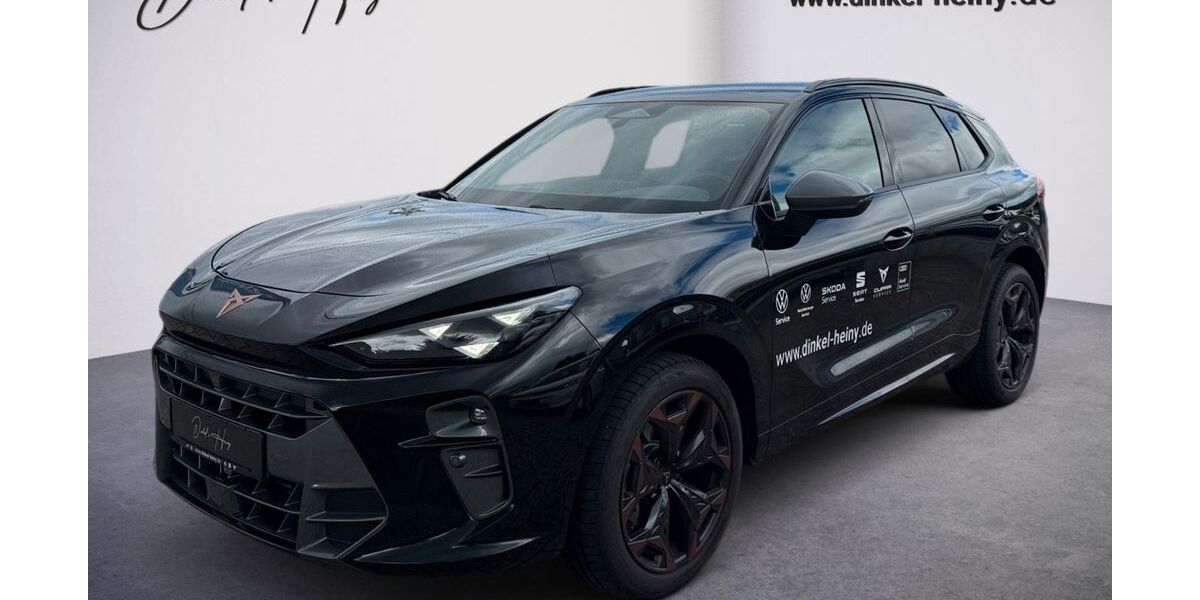 Cupra Terramar 15.000 km 36.990 &euro; Kenzingen 79341