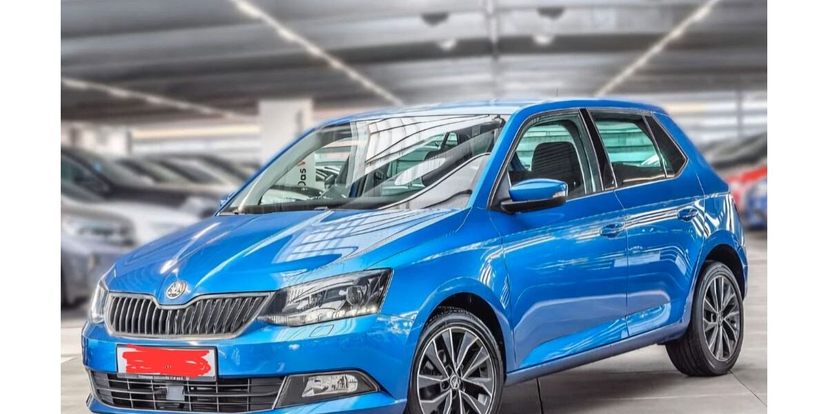 Skoda Fabia 88.000 km 9.300 &euro; Wernau 73249