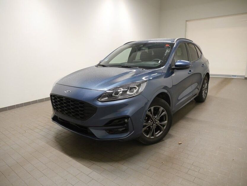 Kuga