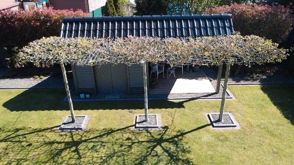 Bungalow Nordhorn - 11 Zimmer, 168 m&sup2;, 619.000&euro; | Angebot:26357476