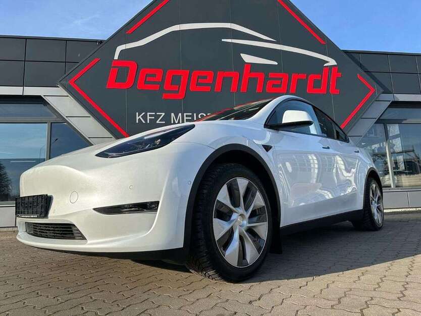Model Y