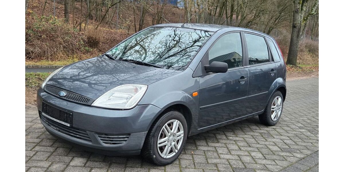 Ford Fiesta 254.791 km 1.199 &euro; Selters 56242