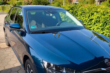 Skoda Scala 105.000 km 16.900 &euro; Wienhausen 29342