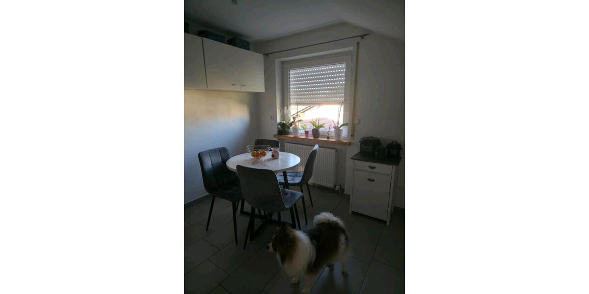 Dachgeschoßwohnung Wallersdorf - 3 Zimmer, 90 m&sup2;, 850&euro; | Angebot:25759676