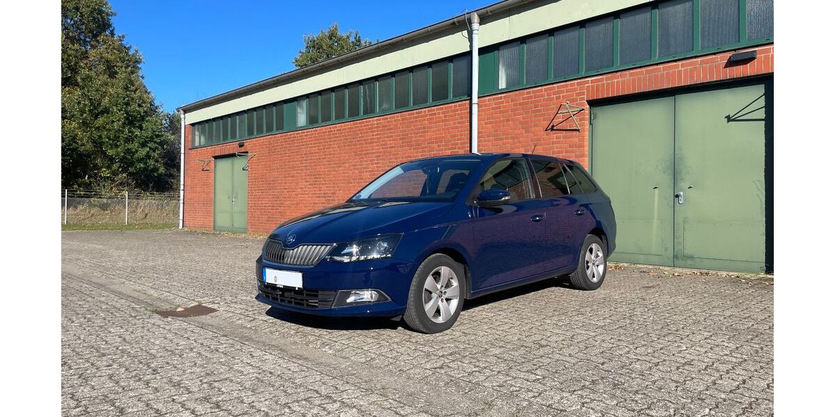 Skoda Fabia 136.000 km 9.000 &euro; Bad Oldesloe 23843