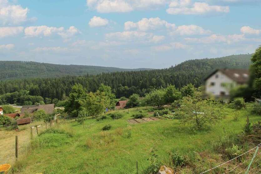 Grundstück zu verkaufen in Bad Wildbad 135.000 € 1035.09 m²