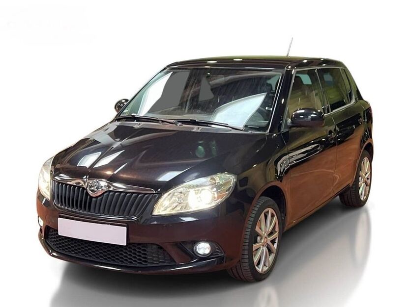 Skoda Fabia 97.600 km 8.580 € Pfullingen 72793