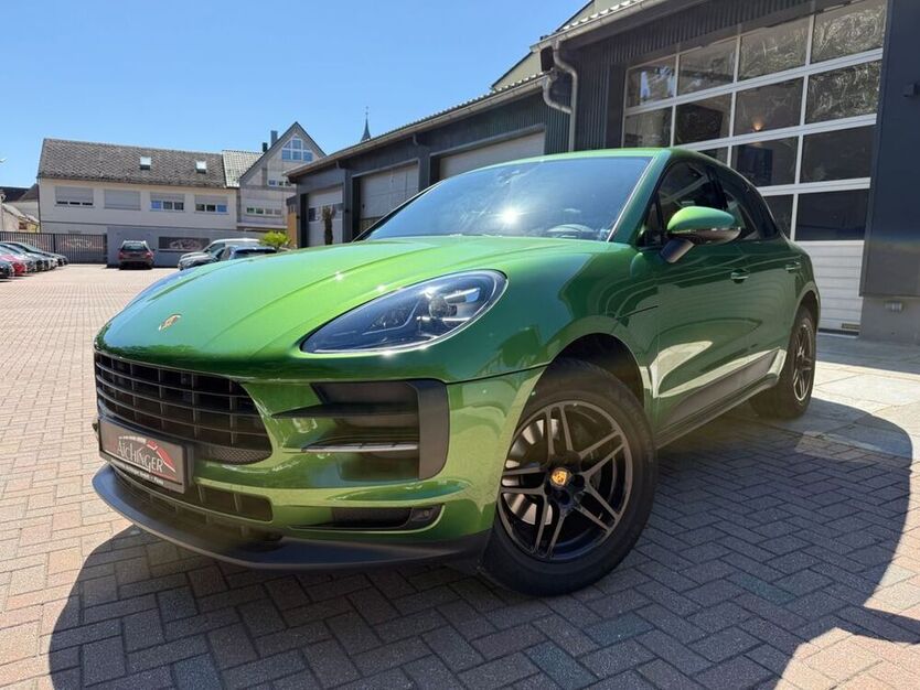 Macan