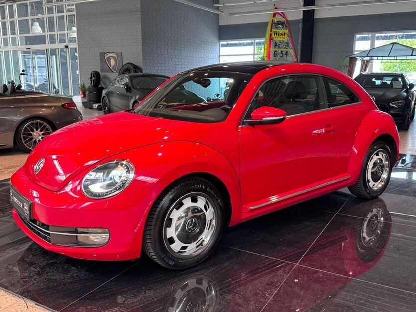 Beetle