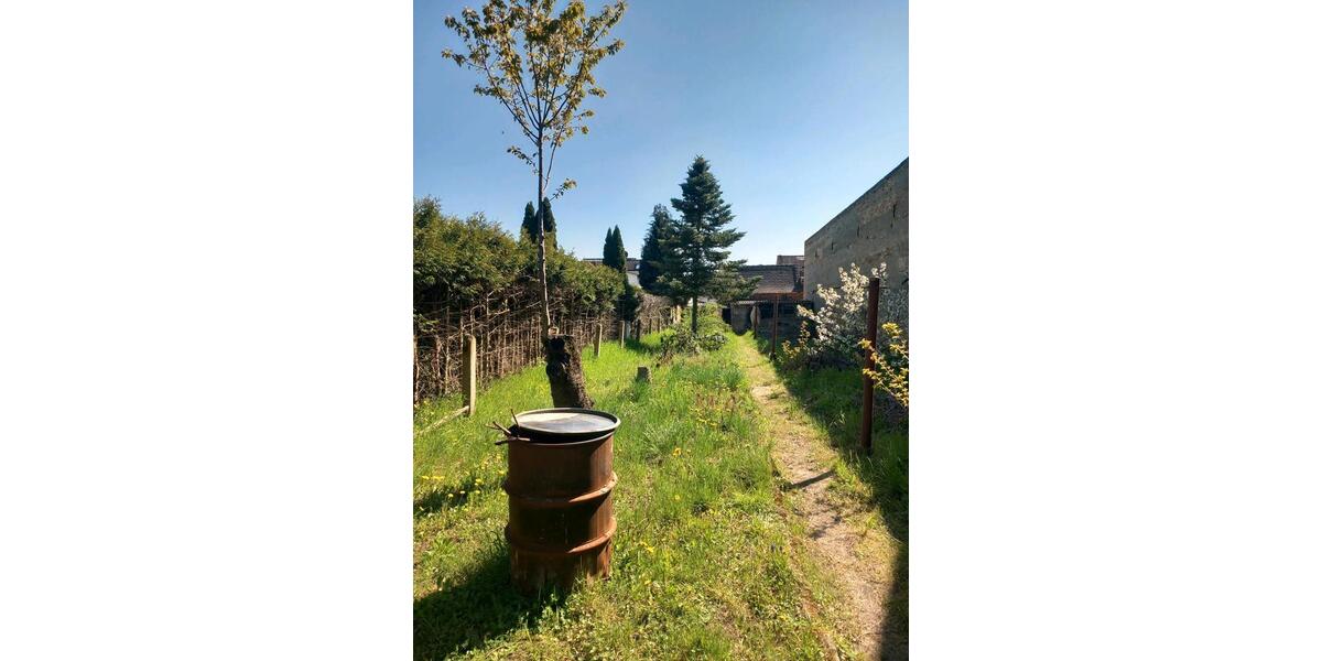Reihenhaus Jessen (Elster) - 3 Zimmer, 84 m&sup2;, 120.000&euro; | Angebot:26212786