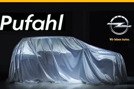 Opel Grandland (X) 25.000 km 22.850 &euro; Lengerich 49525