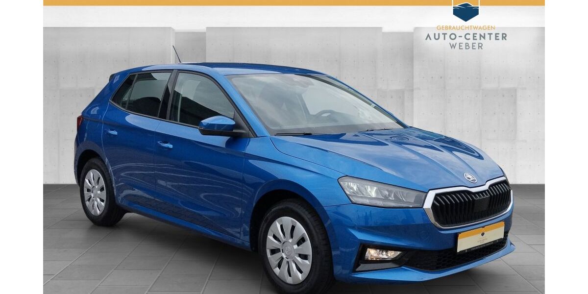 Skoda Fabia 8.040 km 18.490 &euro; Taucha 04425