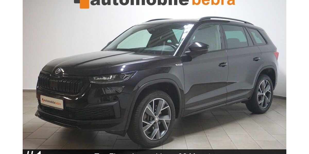 Skoda Kodiaq 110.409 km 29.990 &euro; Bebra 36179