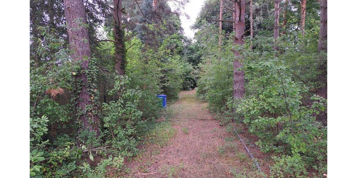 Grundstück Bestensee - 249.000&euro; | Angebot:25663134