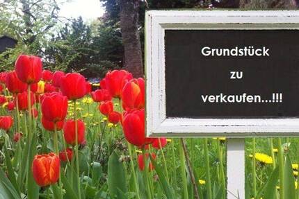 Grundstück Muhr am See Muhr - 220.000&euro; | Angebot:24112006