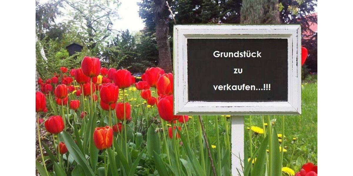 Interessantes BAUGRUNDSTÜCK in 91735 Muhr am See zimmer