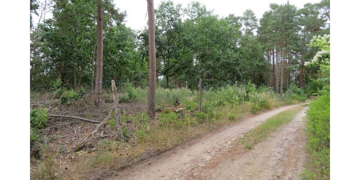 Grundstück Mittenwalde Töpchin - 75.000&euro; | Angebot:25667922