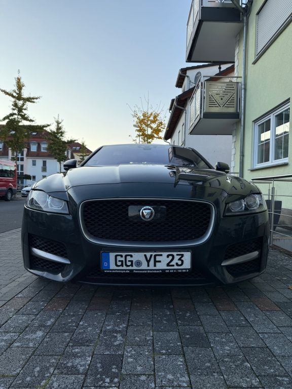 XF