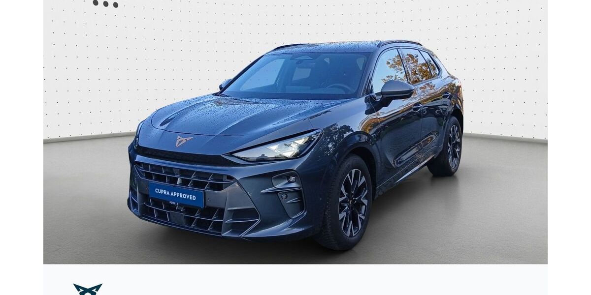 Cupra Terramar 22.588 km 32.960 &euro; Hofheim-Diedenbergen 65719