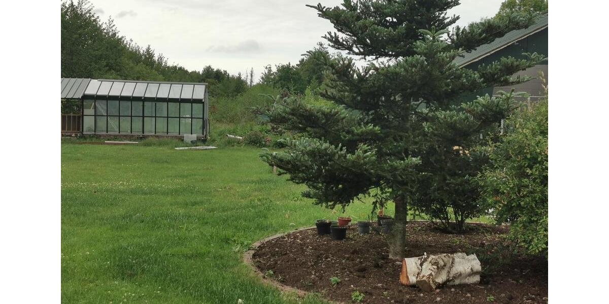 Einfamilienhaus Wiesmoor - 990.000&euro; | Angebot:26991119