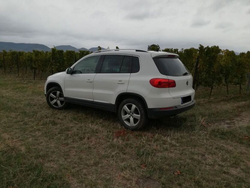 Tiguan