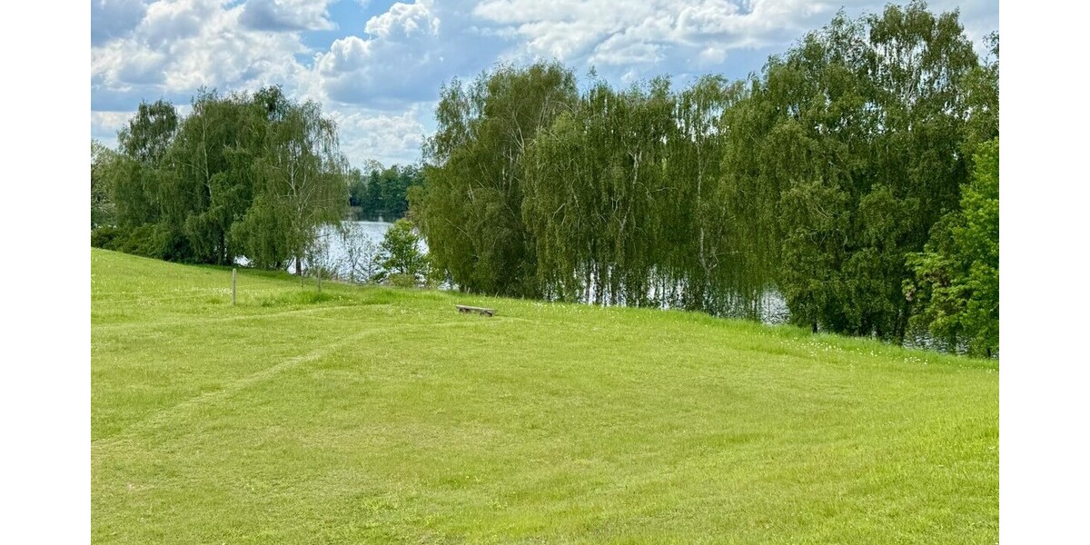 HORN IMMOBILIEN++ Penzlin, großes Einfamilienhaus mit Garage, Außenpool und vielen Extras - Einfamilienhaus Penzlin | Angebot:26894675