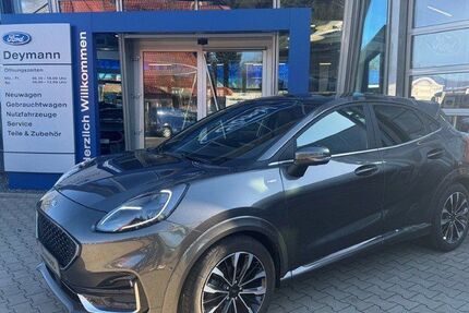 Ford Puma 70.126 km 17.720 &euro; Haren 49733