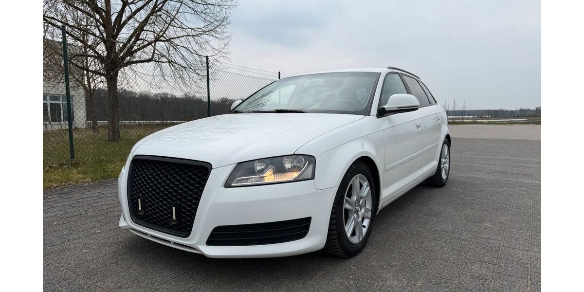 Audi A3 250.000 km 3.699 &euro; Lampertheim-Hüttenfeld 68623