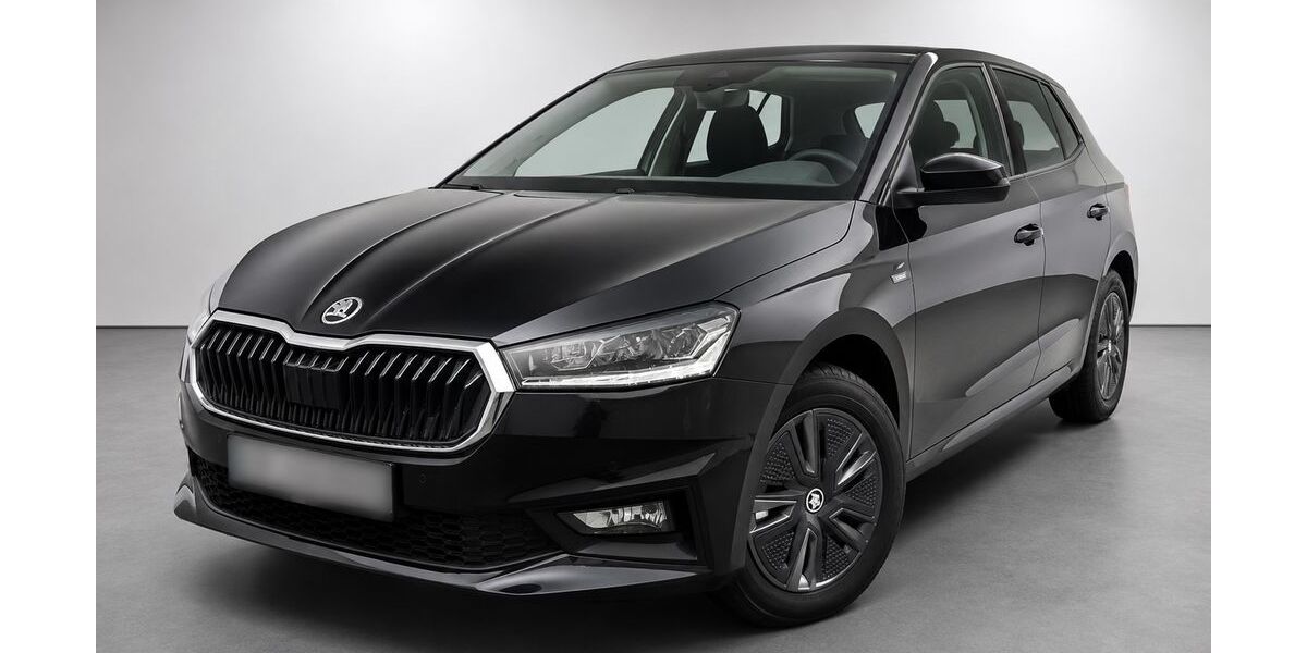 Skoda Fabia 3.210 km 21.490 &euro; Göppingen 73033