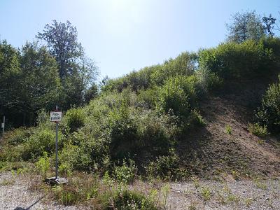 RUHE PUR! NATURPARADIES AM ORTSRAND - Grundstück Regenstauf | Angebot:26421184