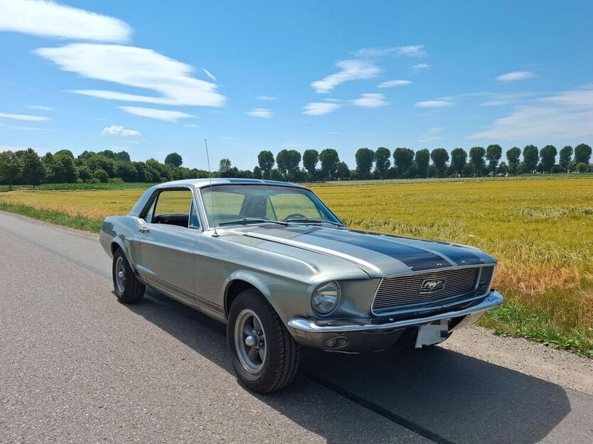 Mustang