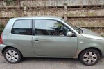 Lupo