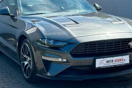 Ford Mustang 66.000 km 30.999 &euro; Münzenberg Gambach 35516