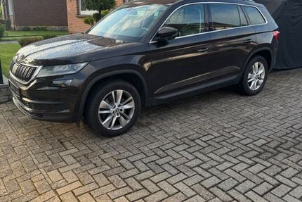 Skoda Kodiaq 185.507 km 19.000 &euro; twistringen 27239