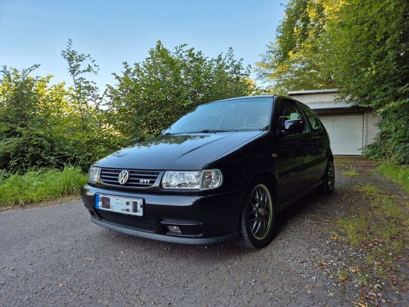 Polo